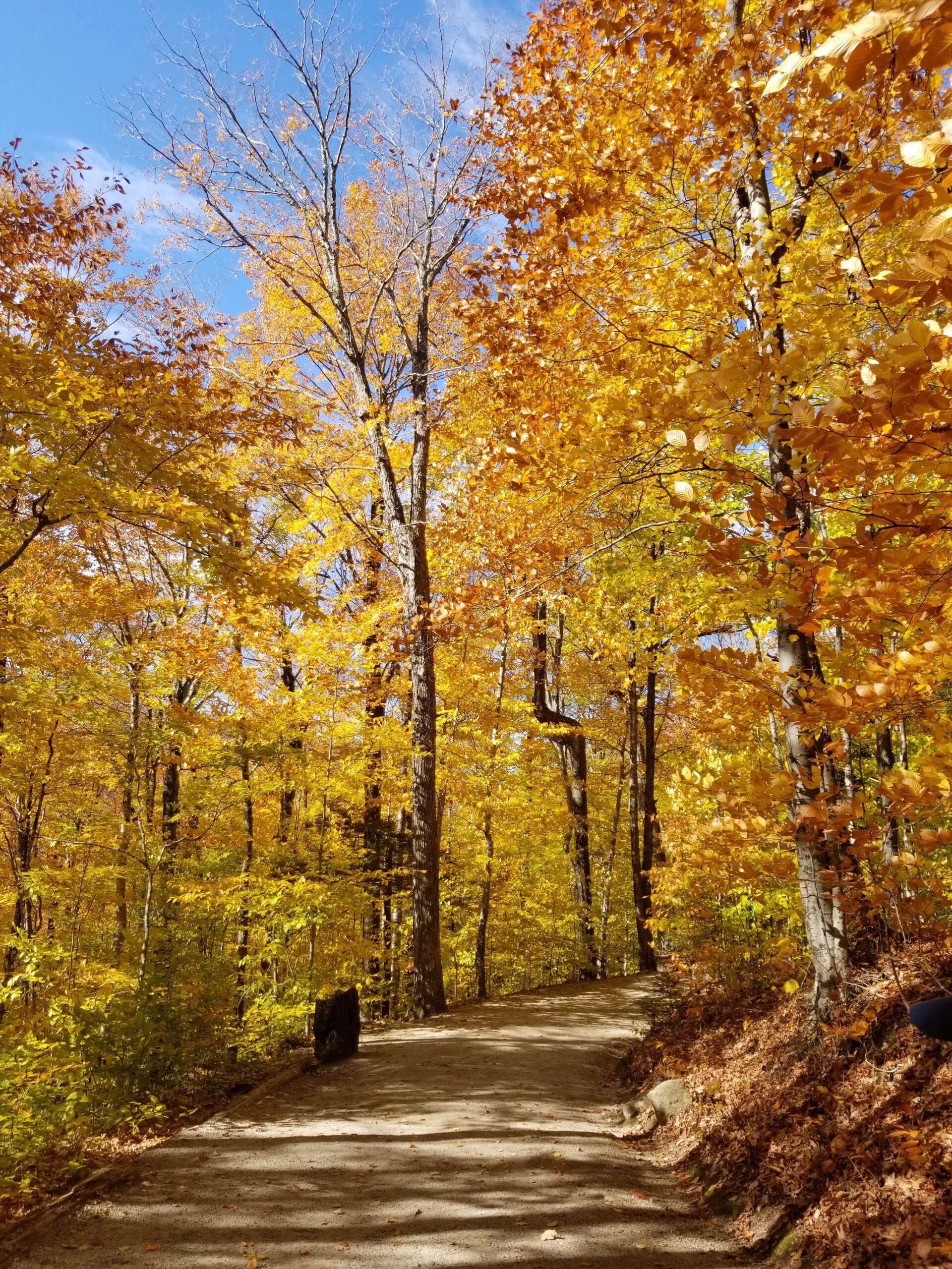 Travel Guide to White Mountains in New Hampshire: Flume Gorge 