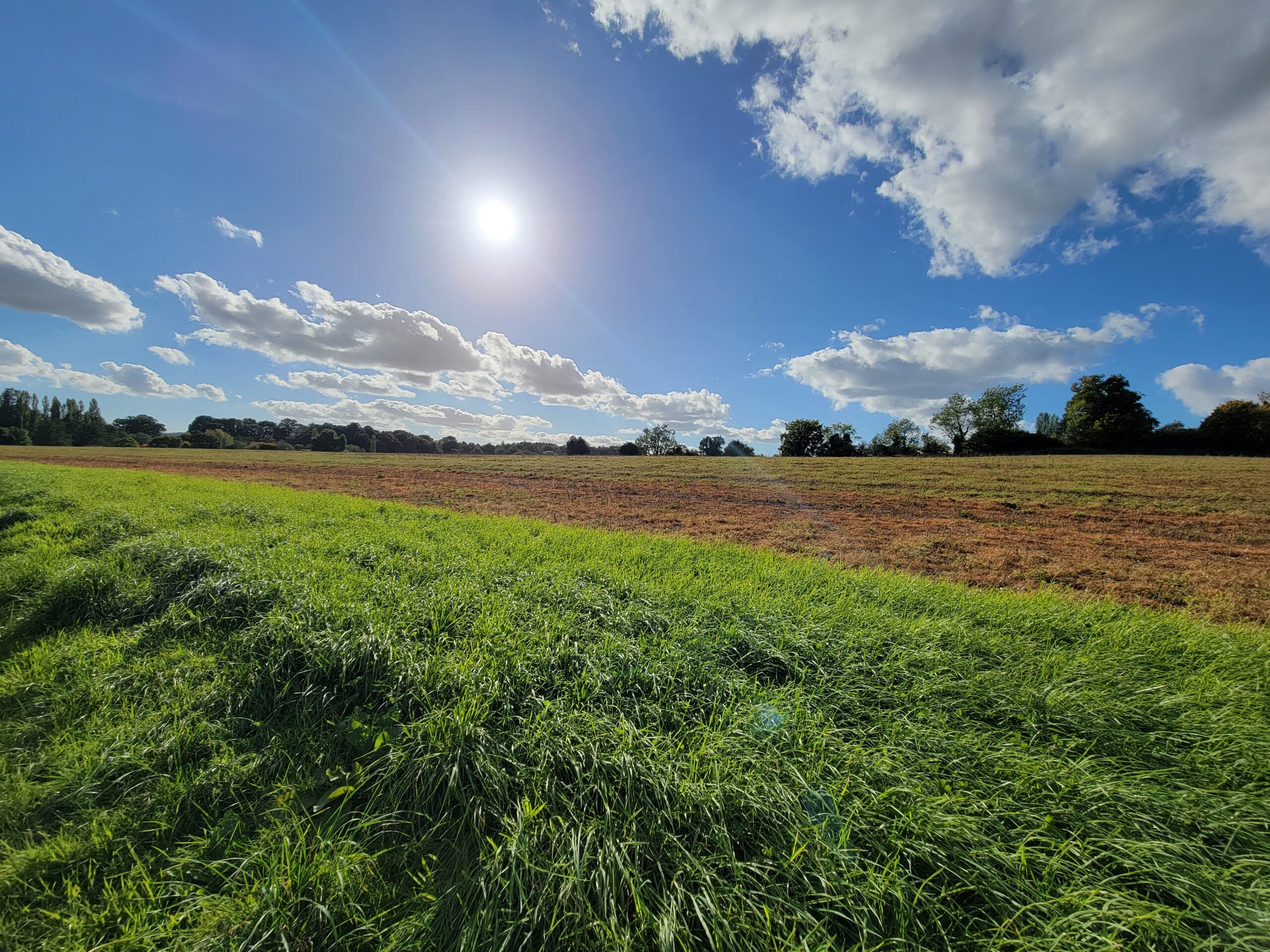 Best things to do in South Downs National Park: take a walk. 