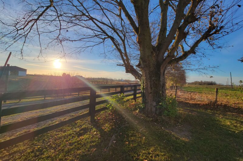 Dog friendly Airbnb perfect for a 5 day trip on the Bourbon Trail.