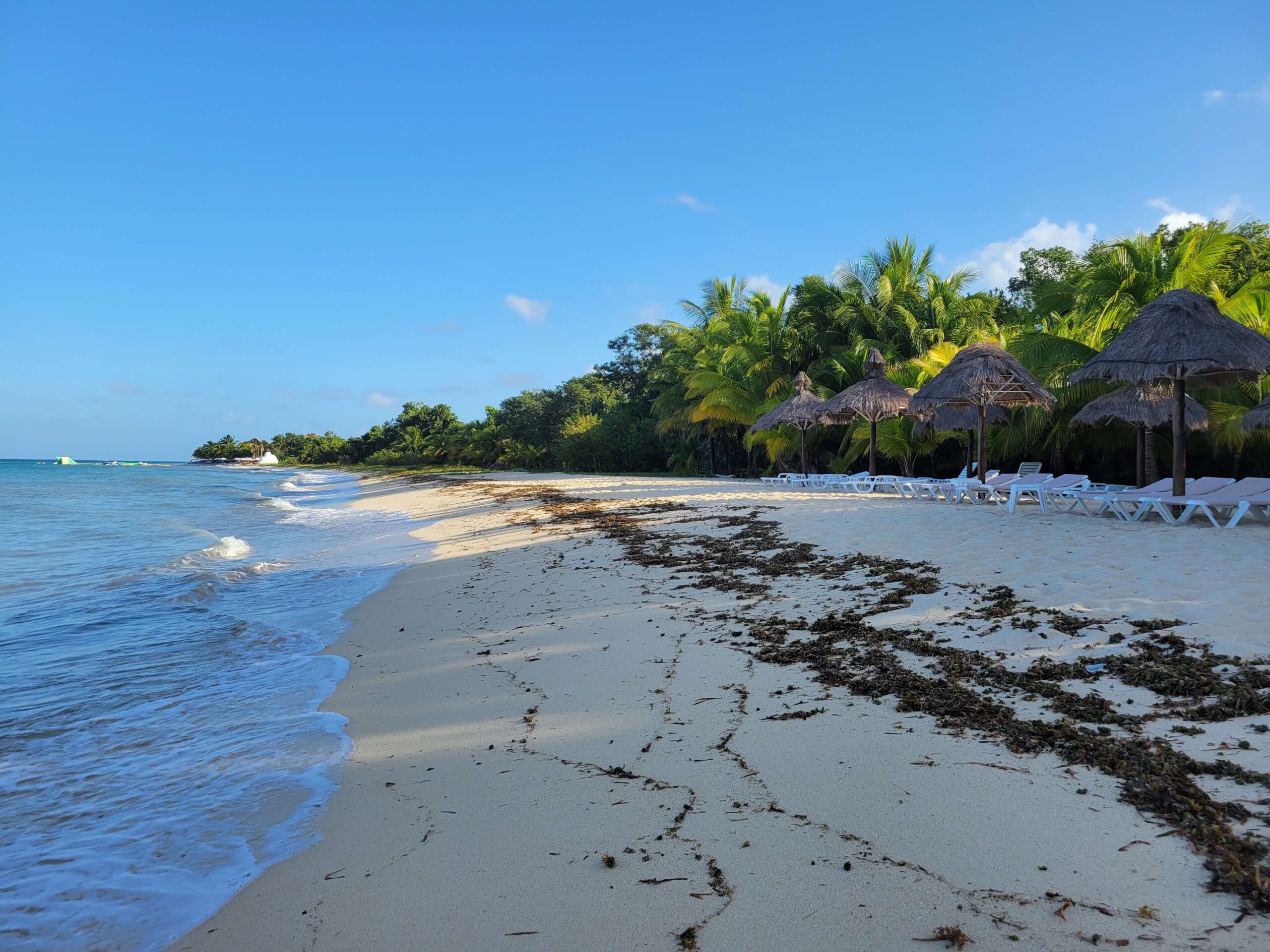 The ULTIMATE Review: Nachi Cocom Cozumel Beach Club