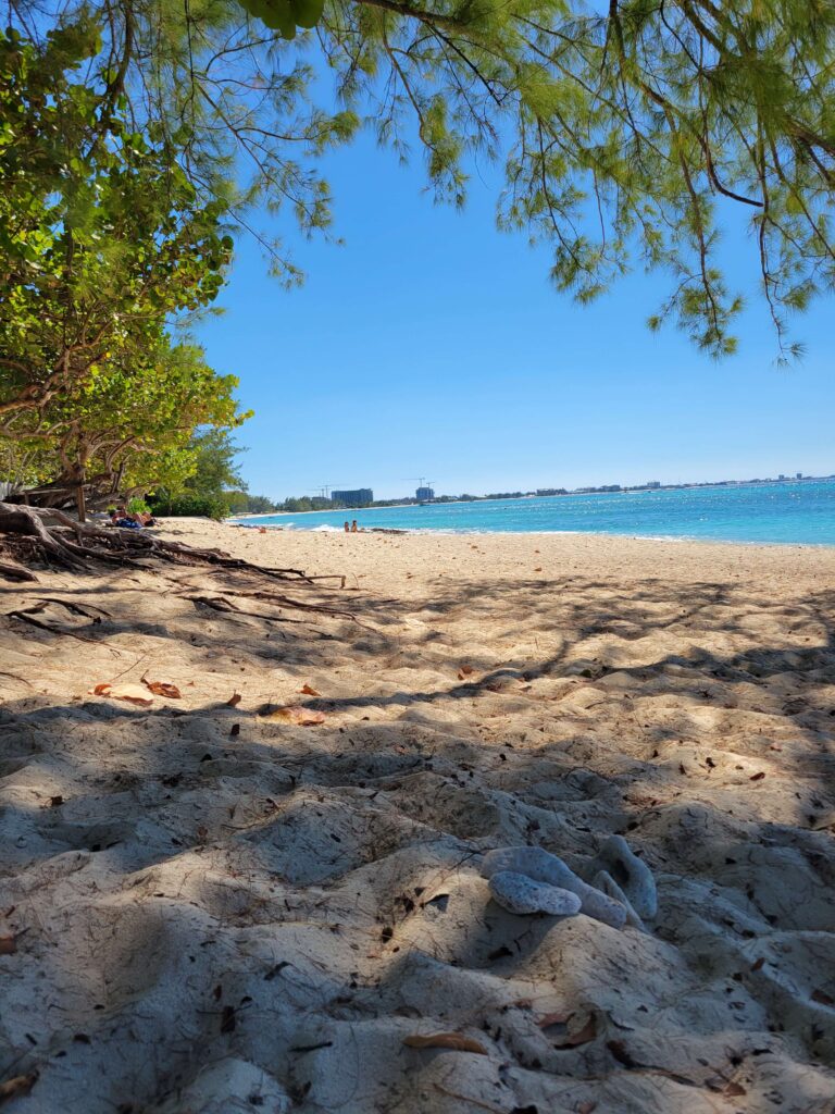 The quiet Cemetery Beach with beautiful water is perfect shore excursion day in the Cayman Islands. 