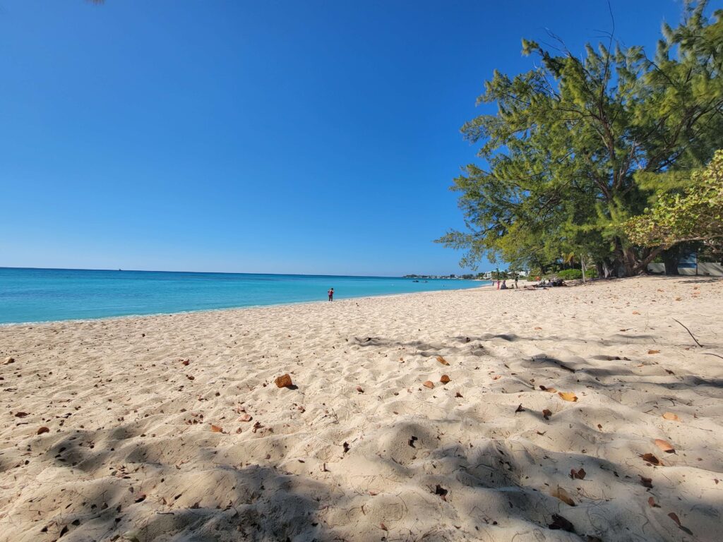 The quiet Cemetery Beach with beautiful water is perfect shore excursion day in the Cayman Islands. 