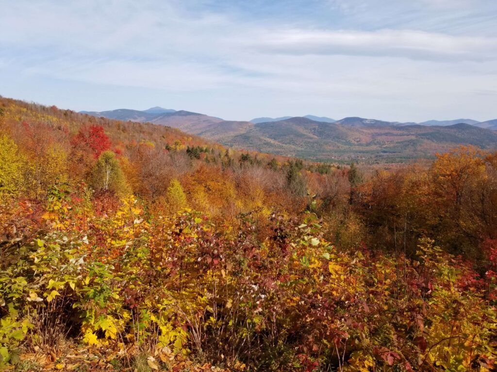 Best restaurants in White Mountains, New Hampshire. 