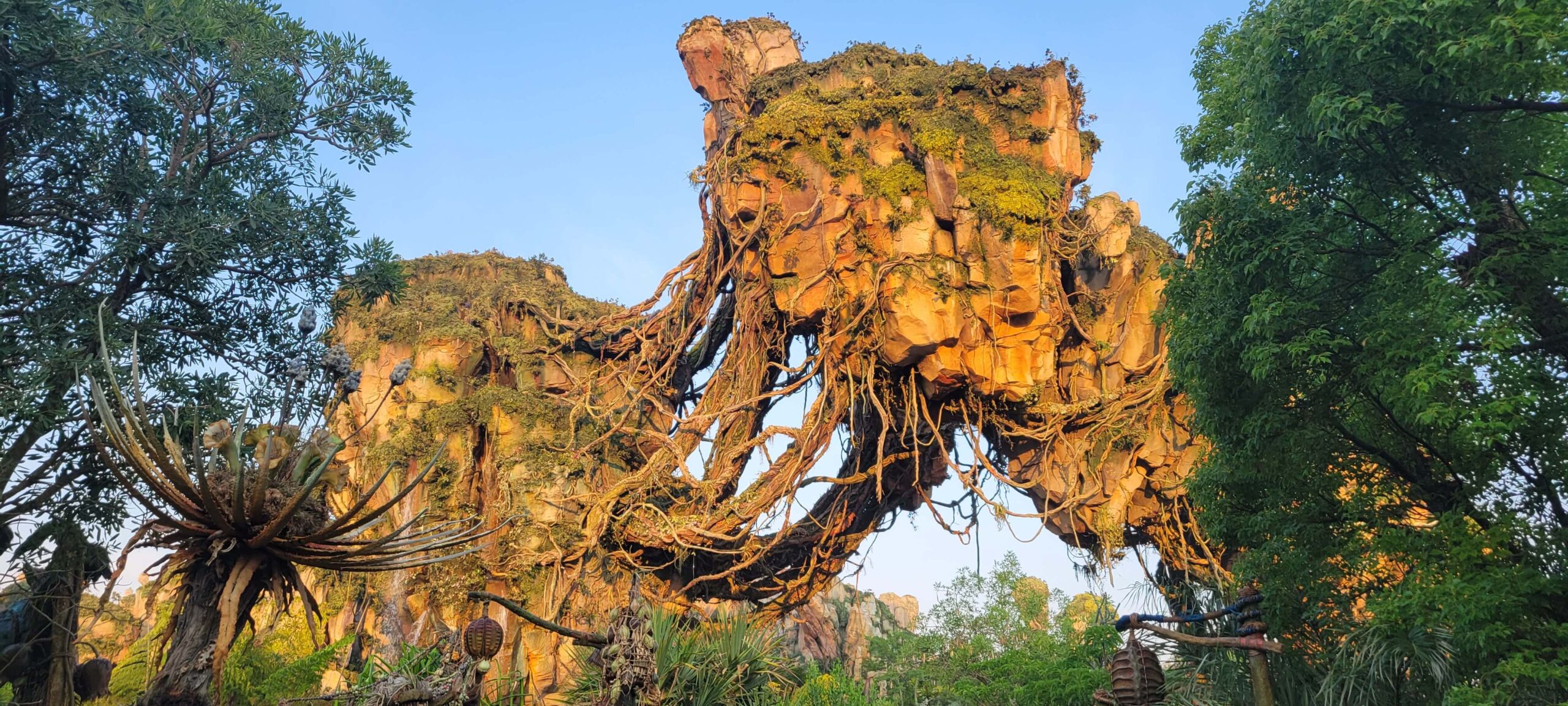 Best rides in Animal Kingdom: Avatar Flight of Passage