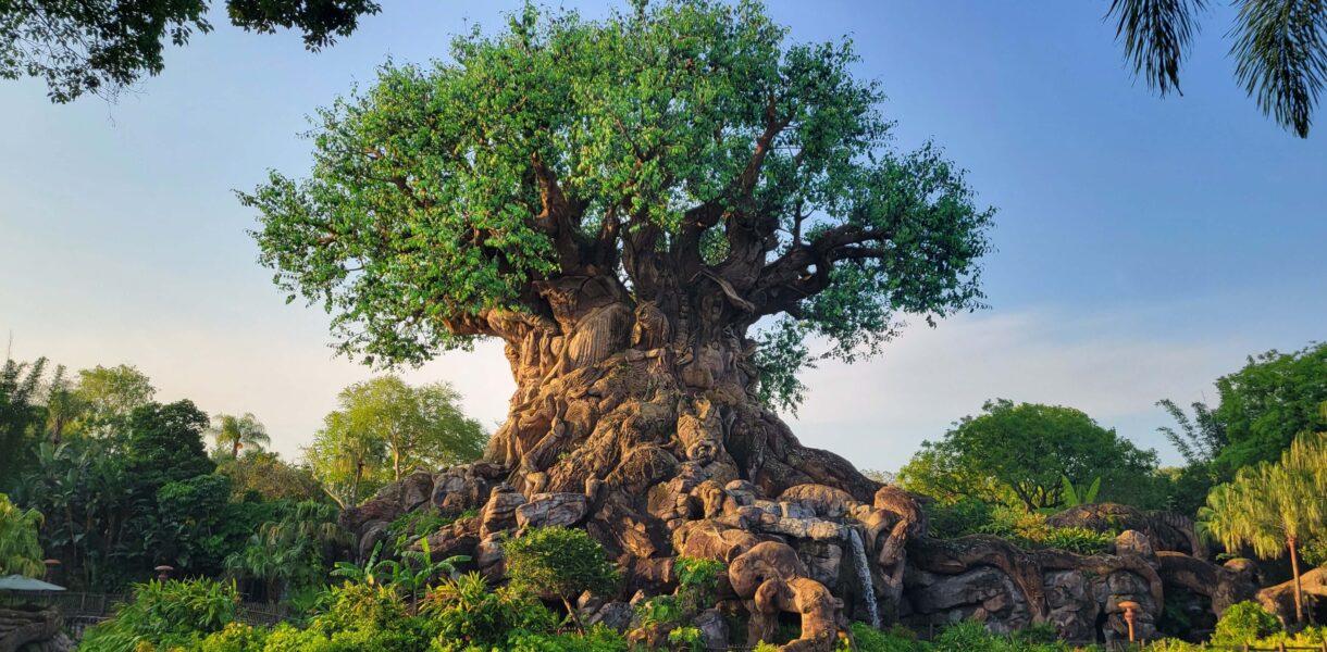 Best rides in Animal Kingdom for 2023