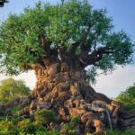 Best rides in Animal Kingdom for 2023