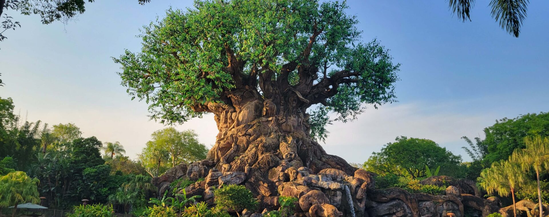 Best rides in Animal Kingdom for 2023