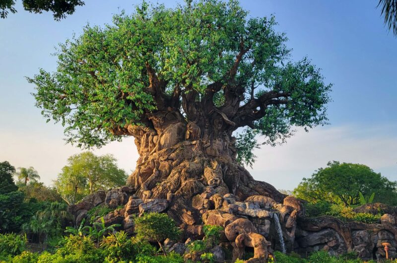 Best rides in Animal Kingdom for 2023