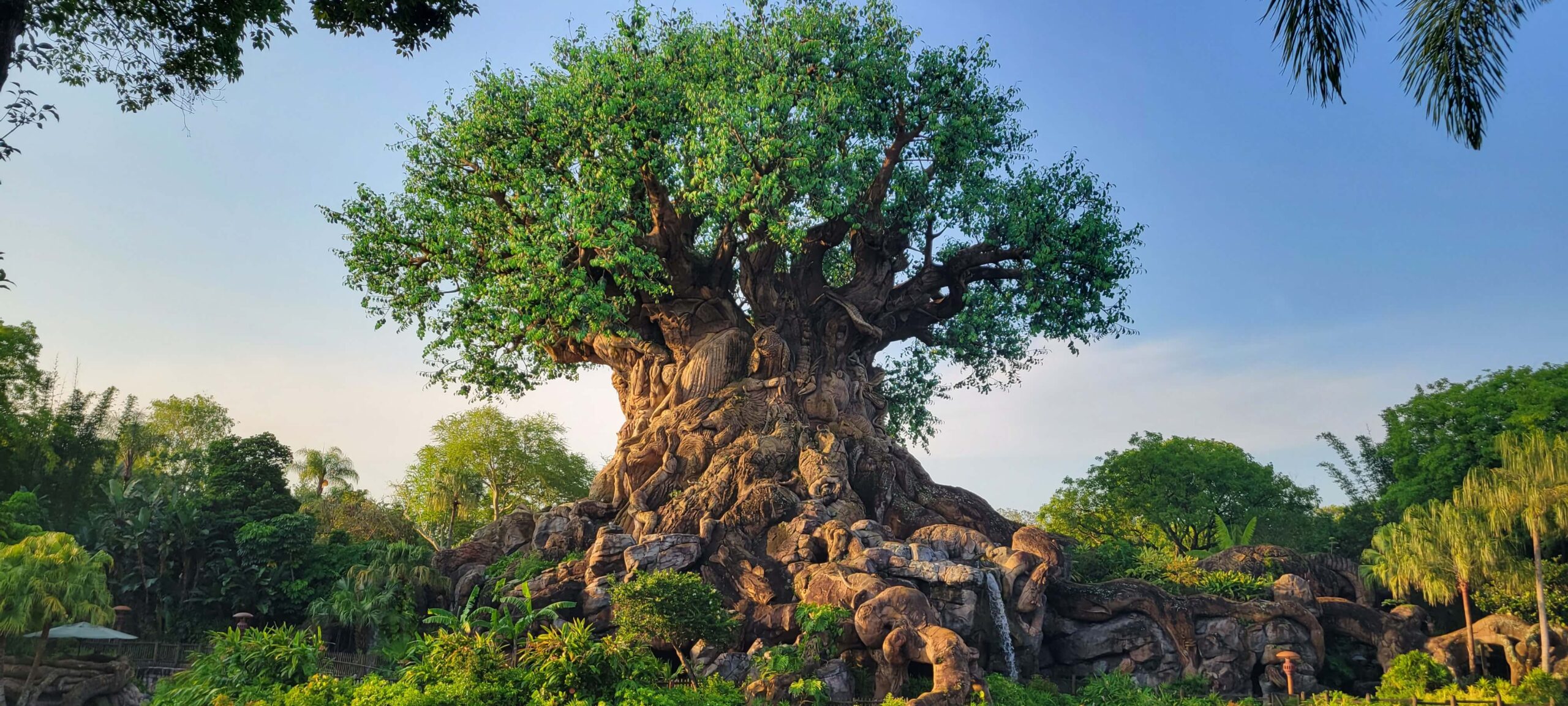 Best Rides in Animal Kingdom for 2024: An Honest Opinion