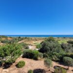 Ultimate review of Palmares Beach House Hotel