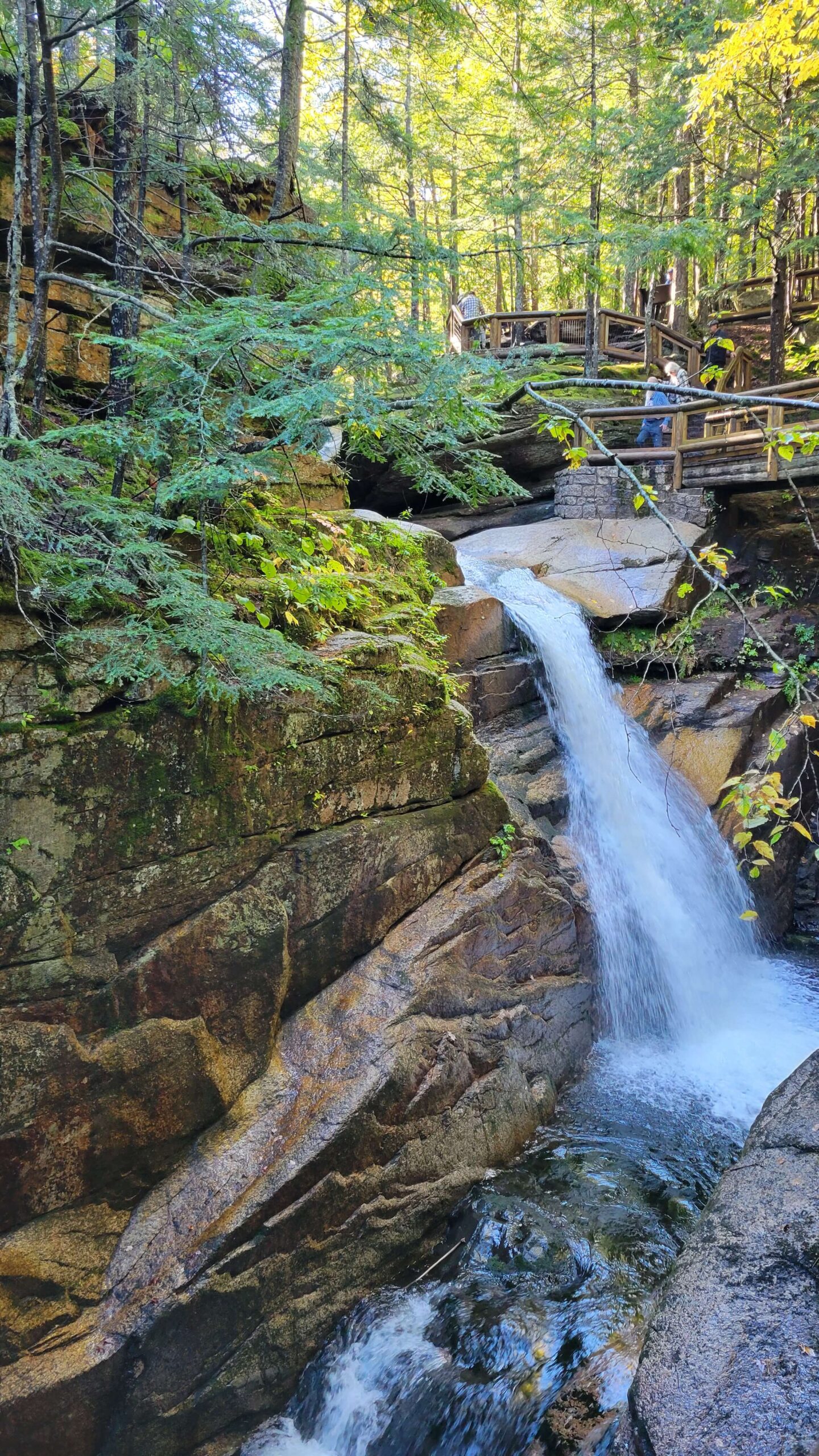 Best Fall Foliage Spots in the White Mountains, NH