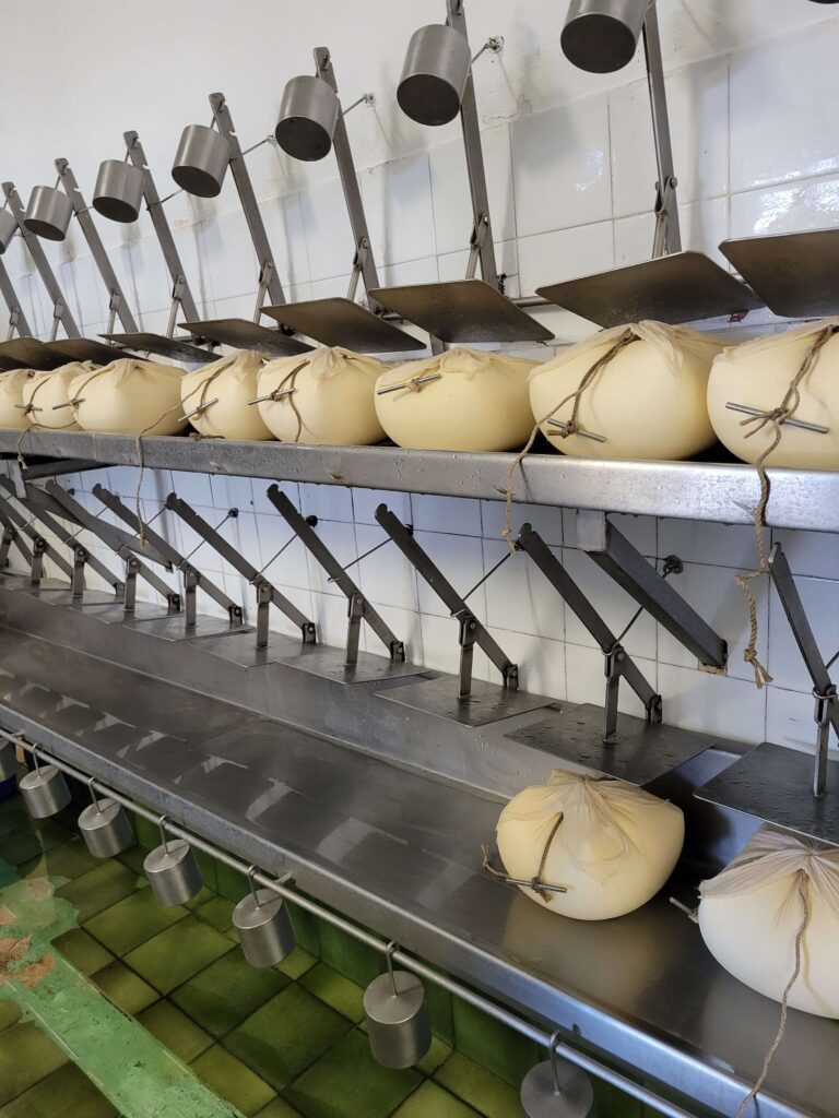 Visiting Menorca in April: Cheese making