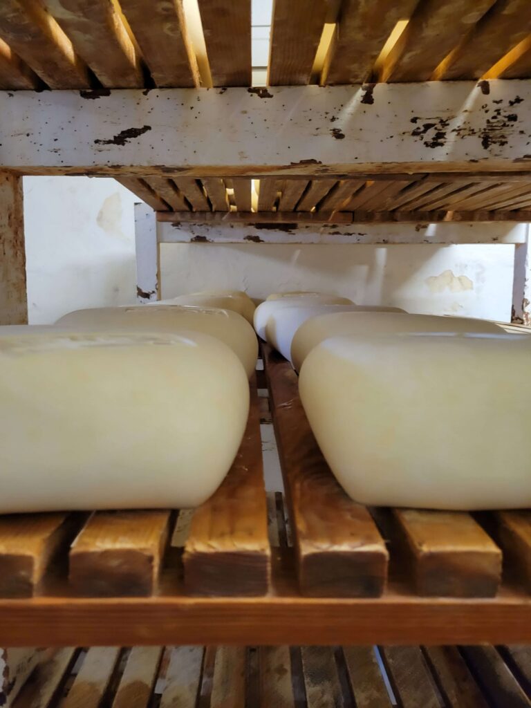 Visiting Menorca in April: Cheese making