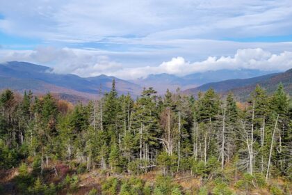 Best Restaurants in the White Mountains, NH