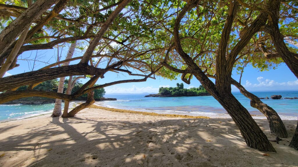 Private Beach at Cayo Levantado