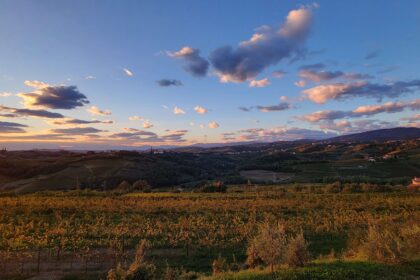 Views of Goriska Brda from Villa Eva