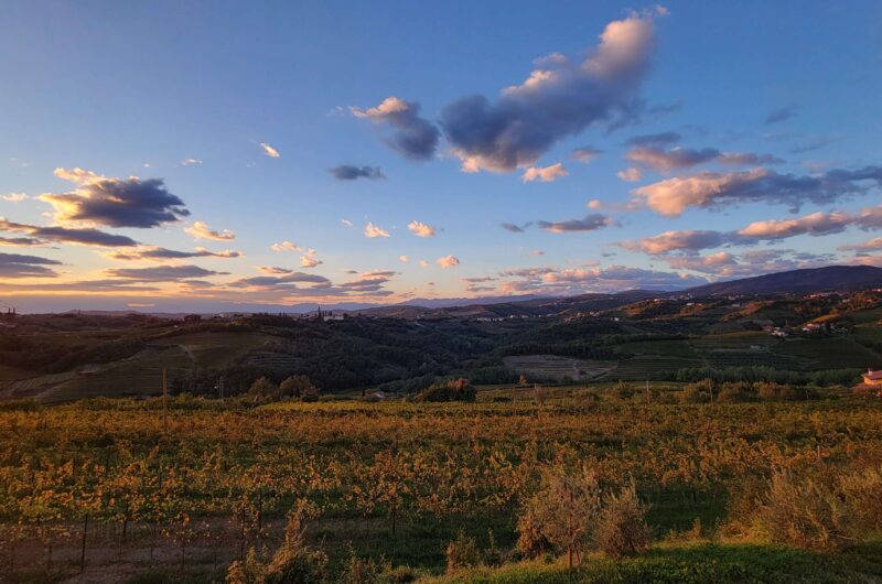 Views of Goriska Brda from Villa Eva